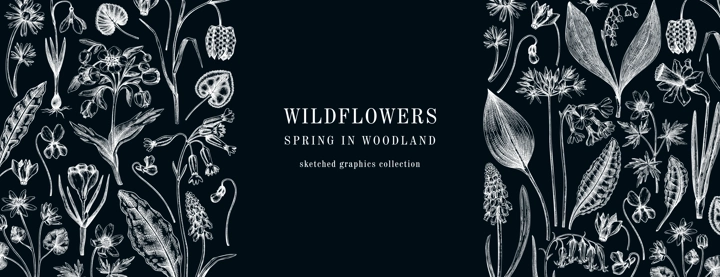 Horizontal vintage banner with wildflowers sketches. Floral design on chalkboard. Delicate contoured blooming flowers and leaves border. Spring woodland or garden botanical vector background
